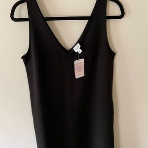NWT Evereve Shift Dress